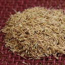 HIDALGO MULTIFLOWER RHODES GRASS 2