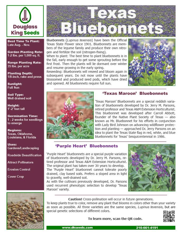 Information About Texas Seeds Douglass King Seeds