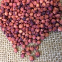 RED GRAIN SORGHUM 4