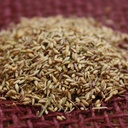 Oso Halls Panicum 4